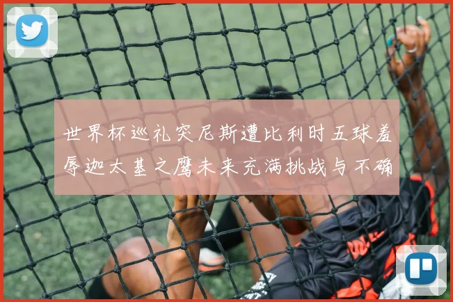 世界杯巡礼突尼斯遭比利时五球羞辱迦太基之鹰未来充满挑战与不确定性